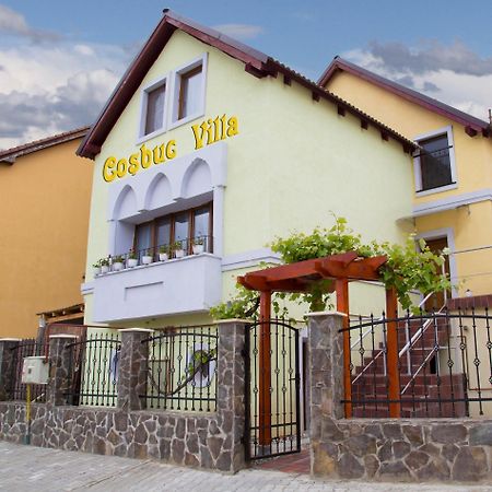 Cosbuc Residence & Villa Sighisoara Bagian luar foto