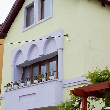 Cosbuc Residence & Villa Sighisoara Bagian luar foto