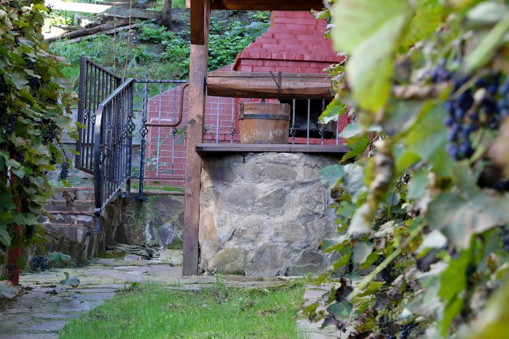 Cosbuc Residence & Villa Sighisoara Ruang foto