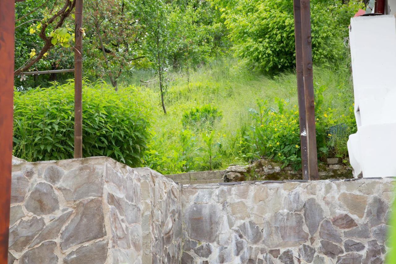 Cosbuc Residence & Villa Sighisoara Bagian luar foto